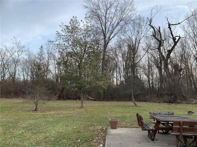 view of yard featuring a patio area