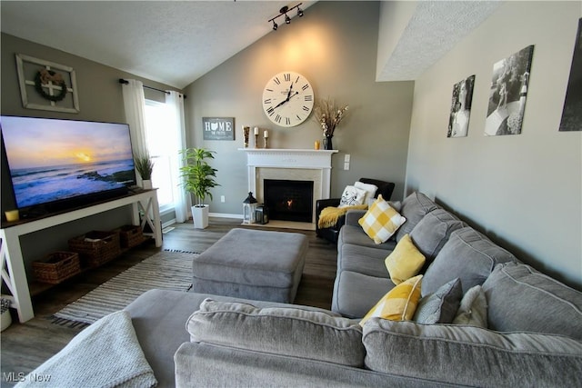 living area with baseboards, a fireplace with flush hearth, vaulted ceiling, rail lighting, and wood finished floors