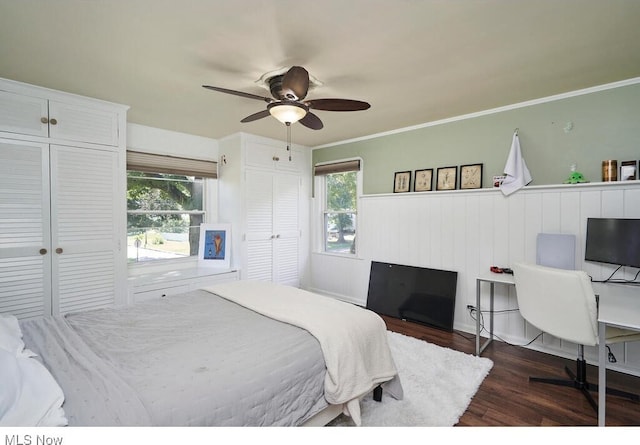 bedroom featuring a ceiling fan, a wainscoted wall, dark wood finished floors, crown molding, and two closets