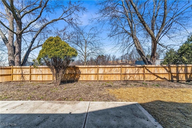 view of yard with a patio and a fenced backyard