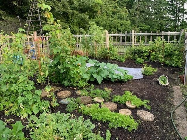 view of yard with a vegetable garden