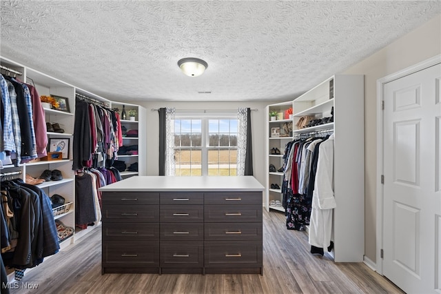 spacious closet featuring wood finished floors