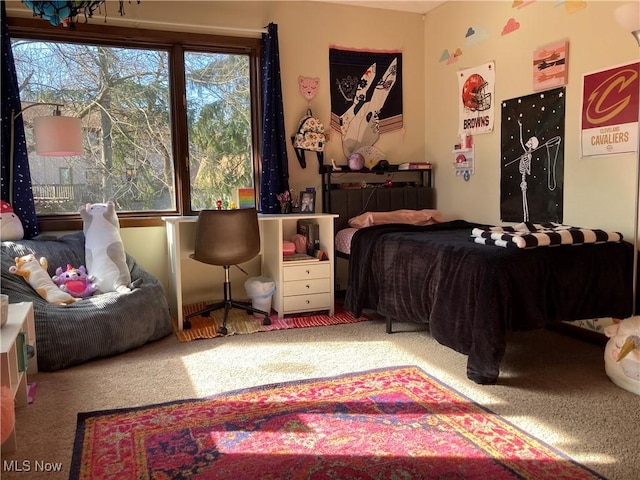 bedroom featuring carpet