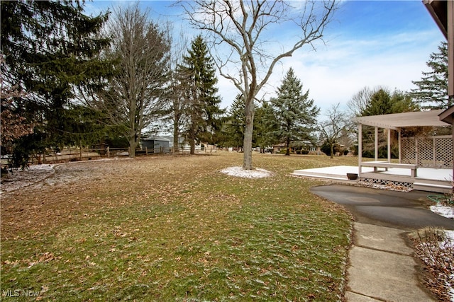 view of yard featuring a patio area