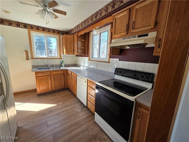 kitchen featuring electric range, a sink, under cabinet range hood, dishwasher, and light wood-type flooring