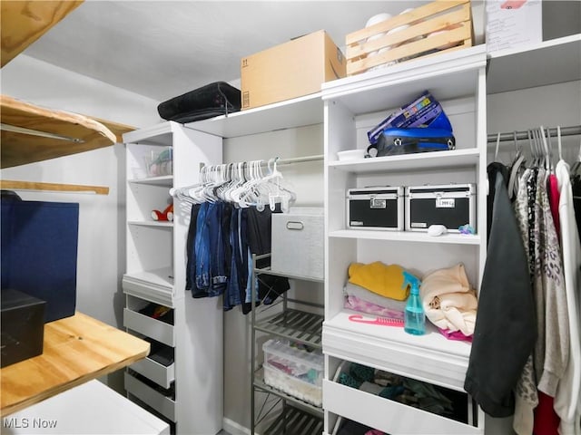 view of spacious closet