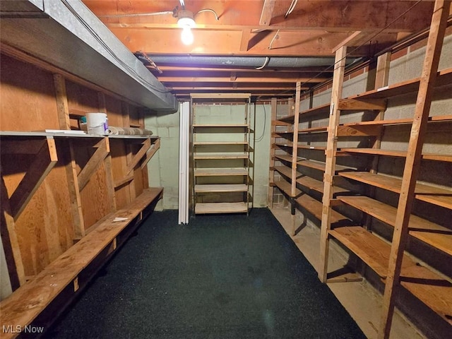 view of storage room