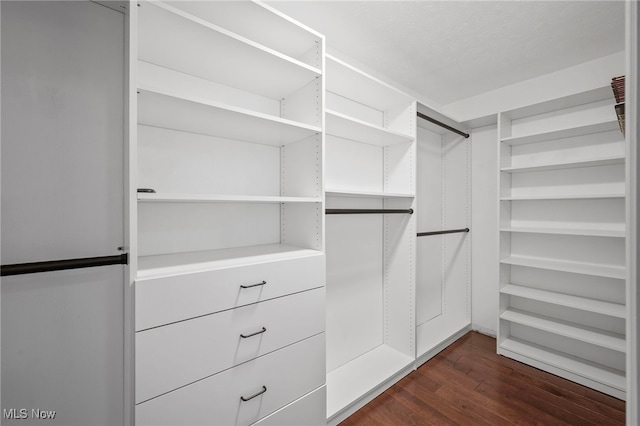 spacious closet featuring dark wood finished floors