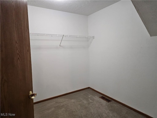 walk in closet with visible vents and carpet floors