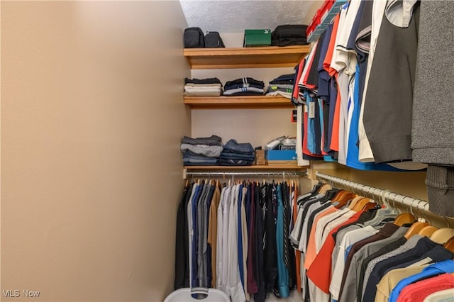 view of spacious closet