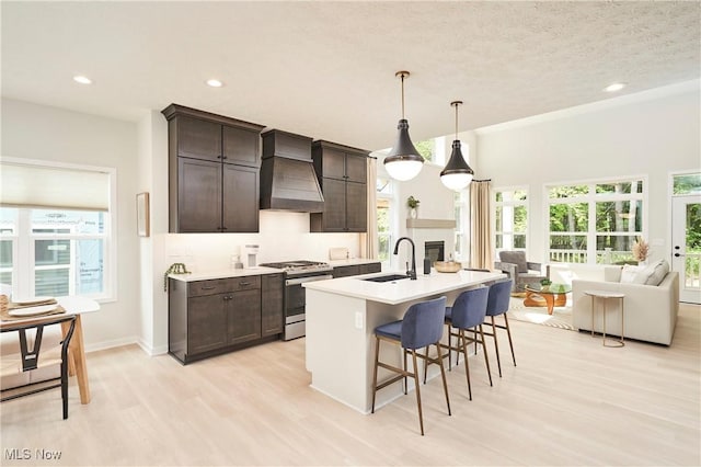 kitchen with gas range, custom exhaust hood, dark brown cabinets, and a sink