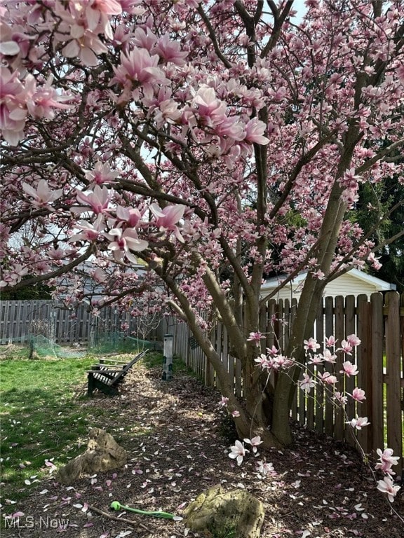 view of yard with a fenced backyard