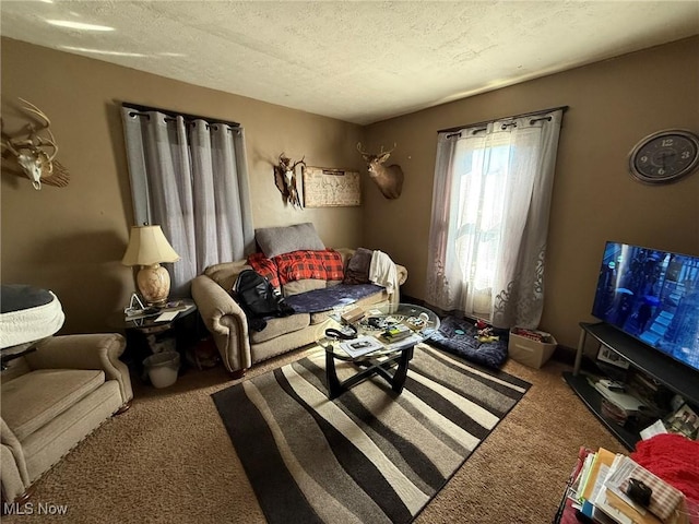 living room featuring a textured ceiling and carpet floors