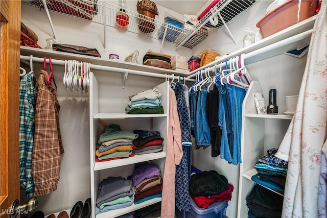 view of spacious closet