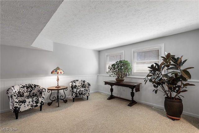 1785 Ashley Dr, Hudson, OH 44236 - sitting room featuring carpet flooring, a wainscoted wall, and a textured ceiling