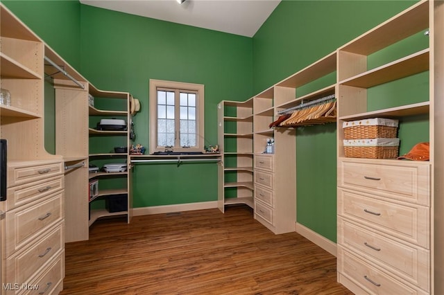 spacious closet featuring dark wood-style flooring