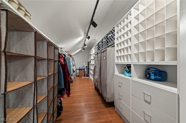 walk in closet featuring wood finished floors