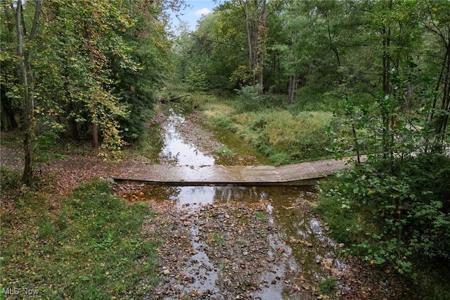 exterior space featuring a forest view and a water view