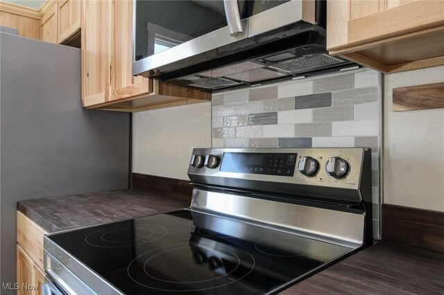 1640 Main St, Stockport, OH 43787 - kitchen featuring stainless steel electric range oven, light brown cabinetry, and dark wood-type flooring
