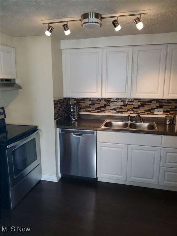 kitchen with under cabinet range hood, white cabinetry, stainless steel appliances, and a sink