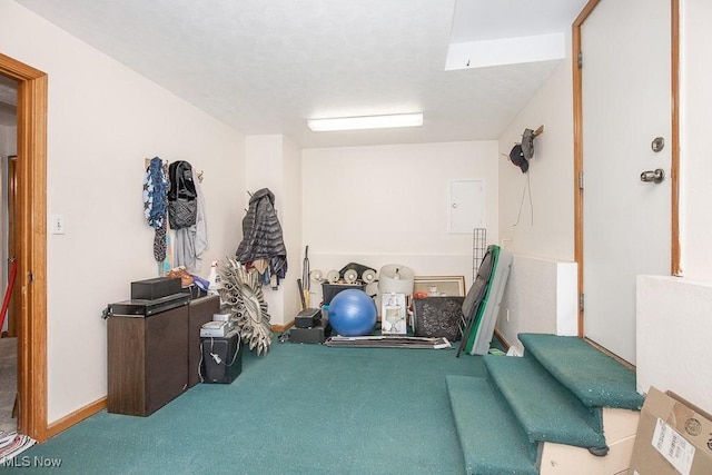 exercise room featuring carpet flooring