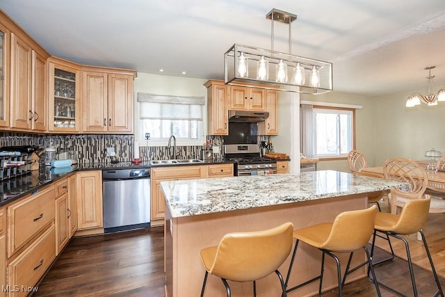 kitchen with a sink, under cabinet range hood, backsplash, appliances with stainless steel finishes, and dark wood-style flooring