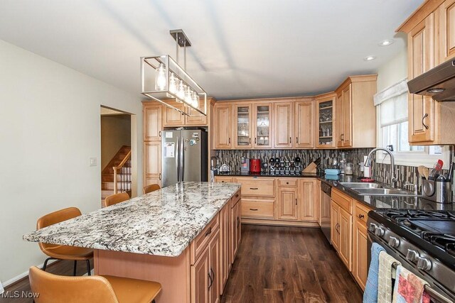 kitchen featuring a breakfast bar area, dark wood-style floors, a sink, decorative backsplash, and appliances with stainless steel finishes