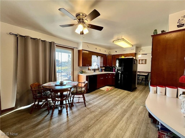 dining room with light wood-type flooring and a ceiling fan