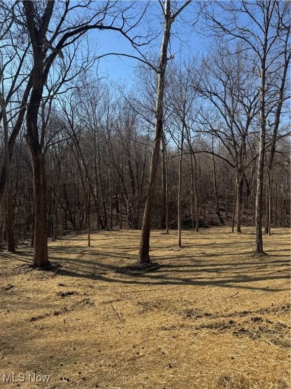 view of landscape with a view of trees