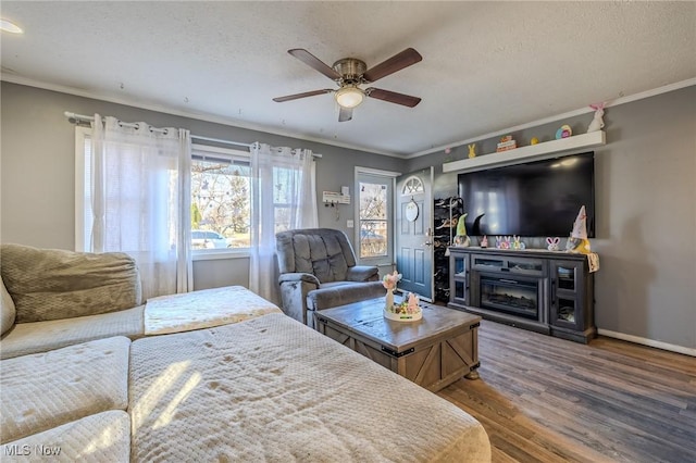 living room featuring a textured ceiling, wood finished floors, and crown molding