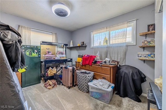 interior space featuring carpet floors and a textured ceiling