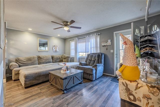 living area with a ceiling fan, wood finished floors, baseboards, ornamental molding, and a textured ceiling