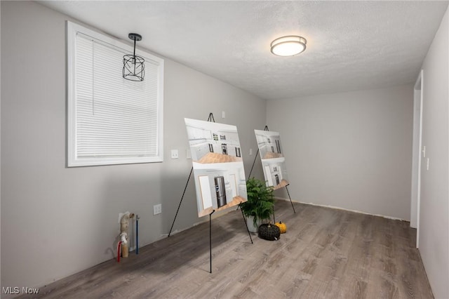 office space with a textured ceiling and wood finished floors