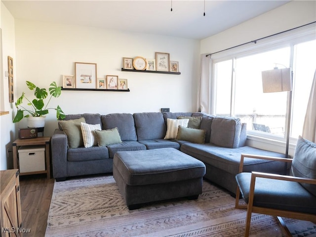 living room featuring wood finished floors