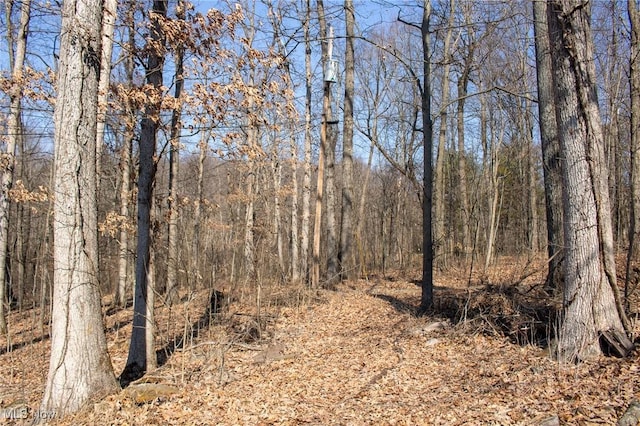 view of nature featuring a wooded view