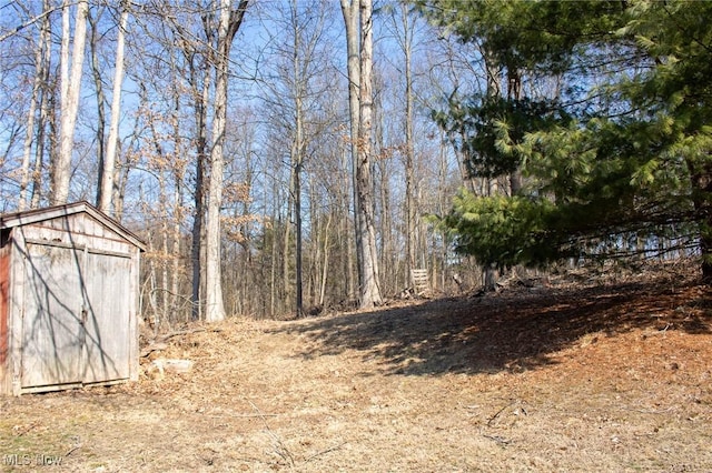 view of yard featuring an outdoor structure and a shed