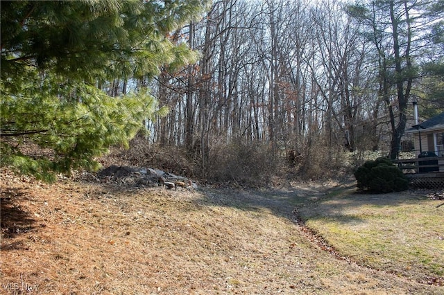 view of local wilderness