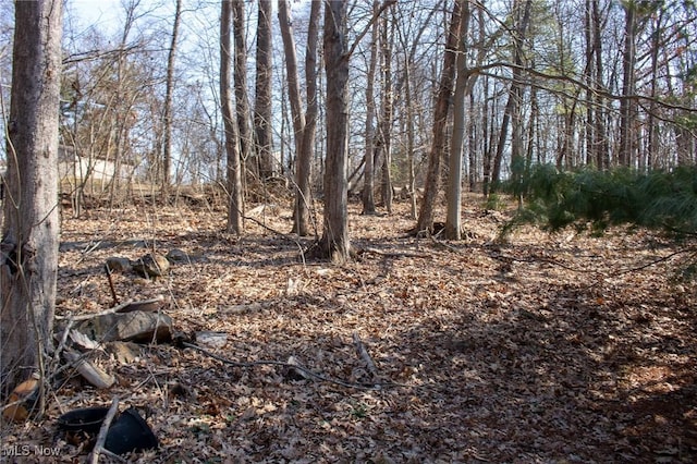 view of landscape