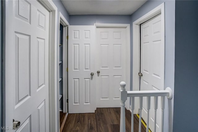 corridor featuring dark wood-style flooring