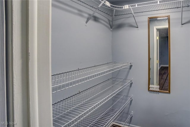 view of spacious closet