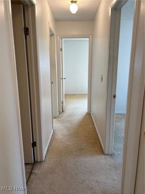 hallway with baseboards and carpet floors