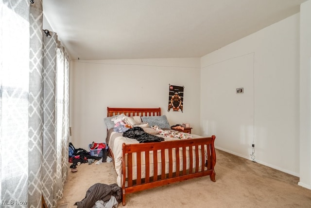 bedroom with carpet flooring