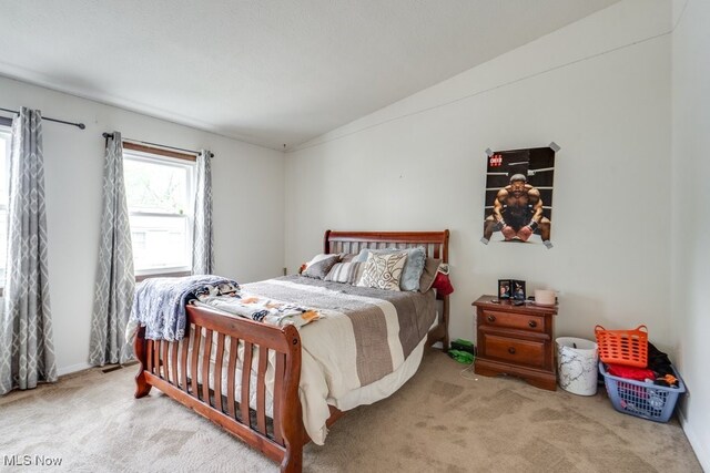7031 Woodthrush Dr, Concord, OH 44077 - photo 17