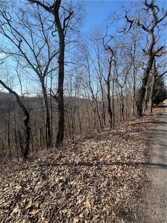 Wells Hollow Rd, Wellsville OH, 43968 land for sale