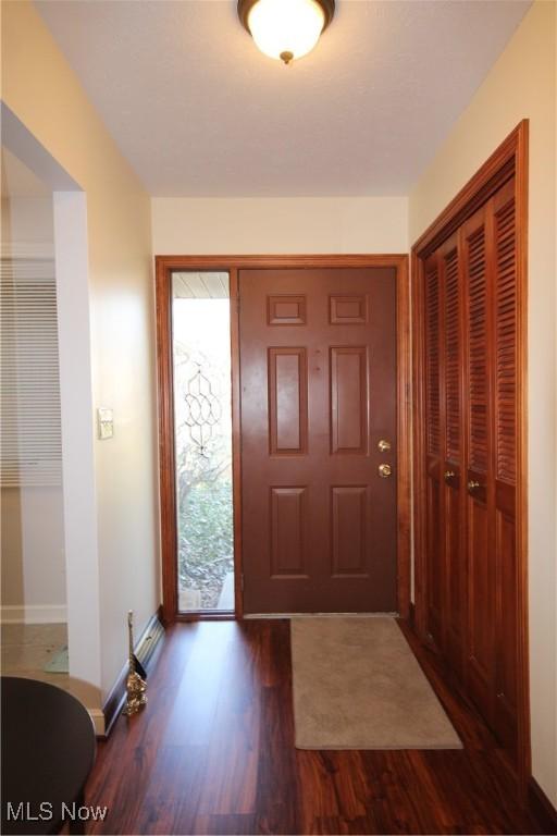 entryway with baseboards and wood finished floors