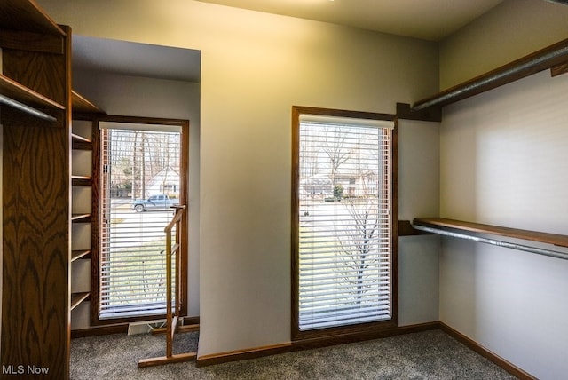 walk in closet featuring carpet flooring