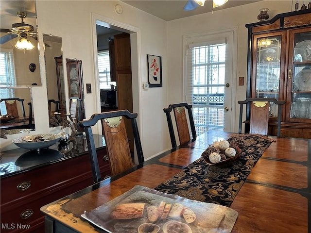 dining room with a wealth of natural light, wood finished floors, and ceiling fan