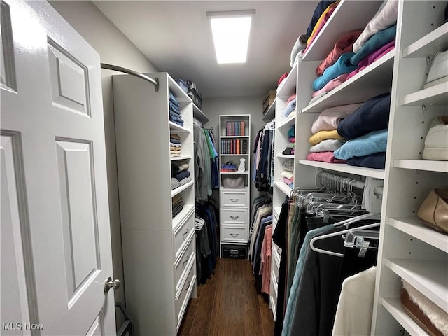 walk in closet featuring dark wood-type flooring