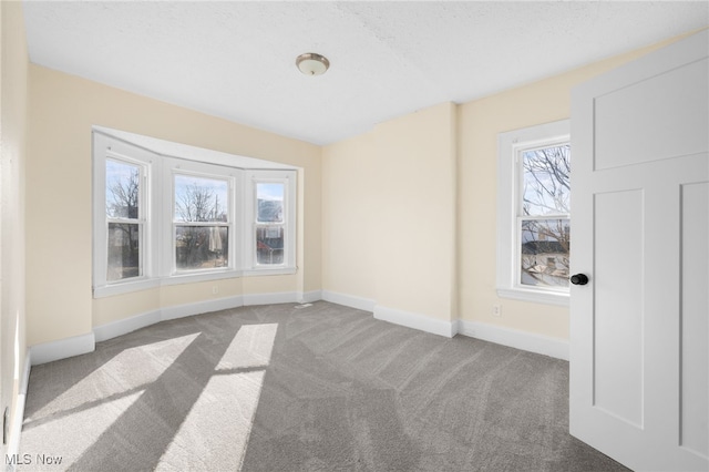 spare room with a wealth of natural light, baseboards, and carpet