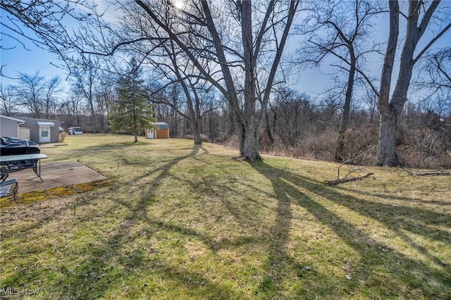 view of yard featuring a storage shed and an outdoor structure